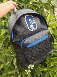 Picture of Coach Mens Bags _SKUfw213825812fw